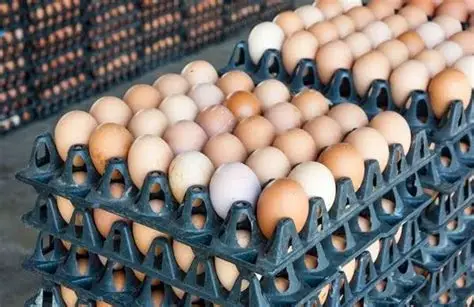 Eggs